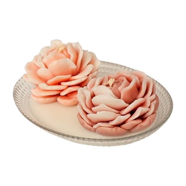 PhotoRoom-20250331_125001