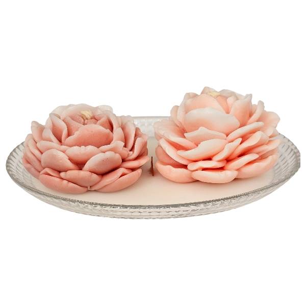 PhotoRoom-20250331_125052